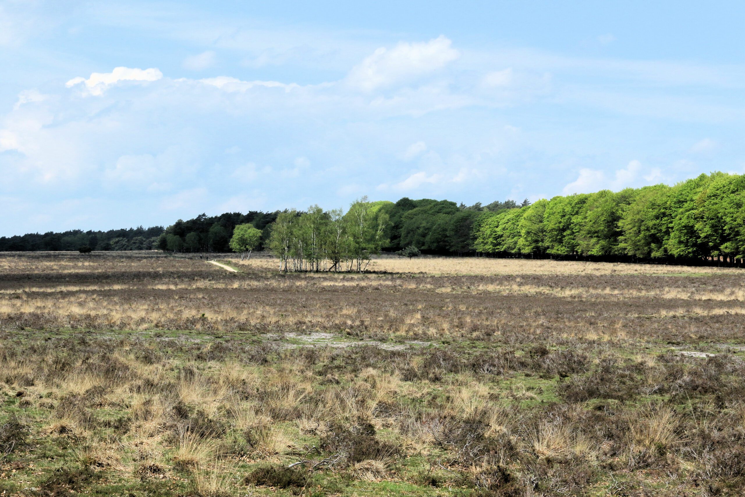 Ontstaan van het huidige landschap in Gelderland